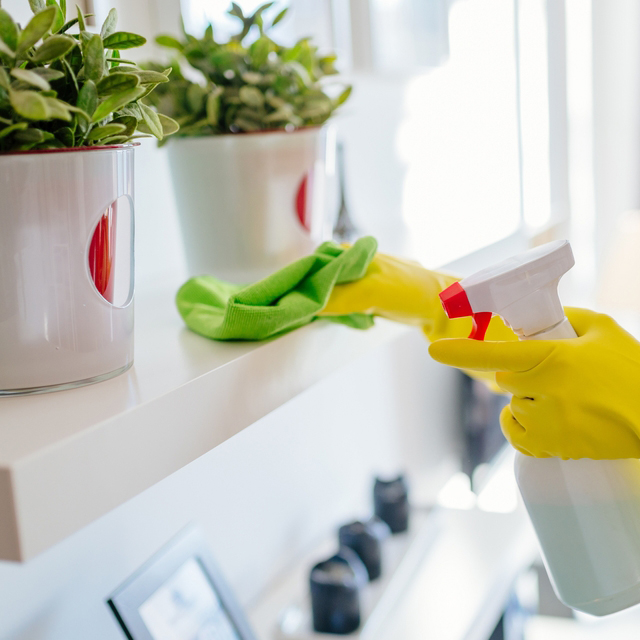 spotless shelves during last minute condo cleaning