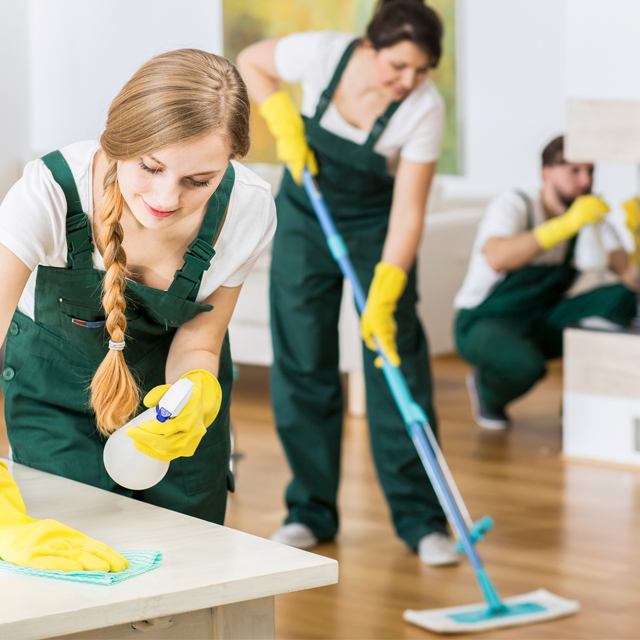 Residential cleaning services and workers